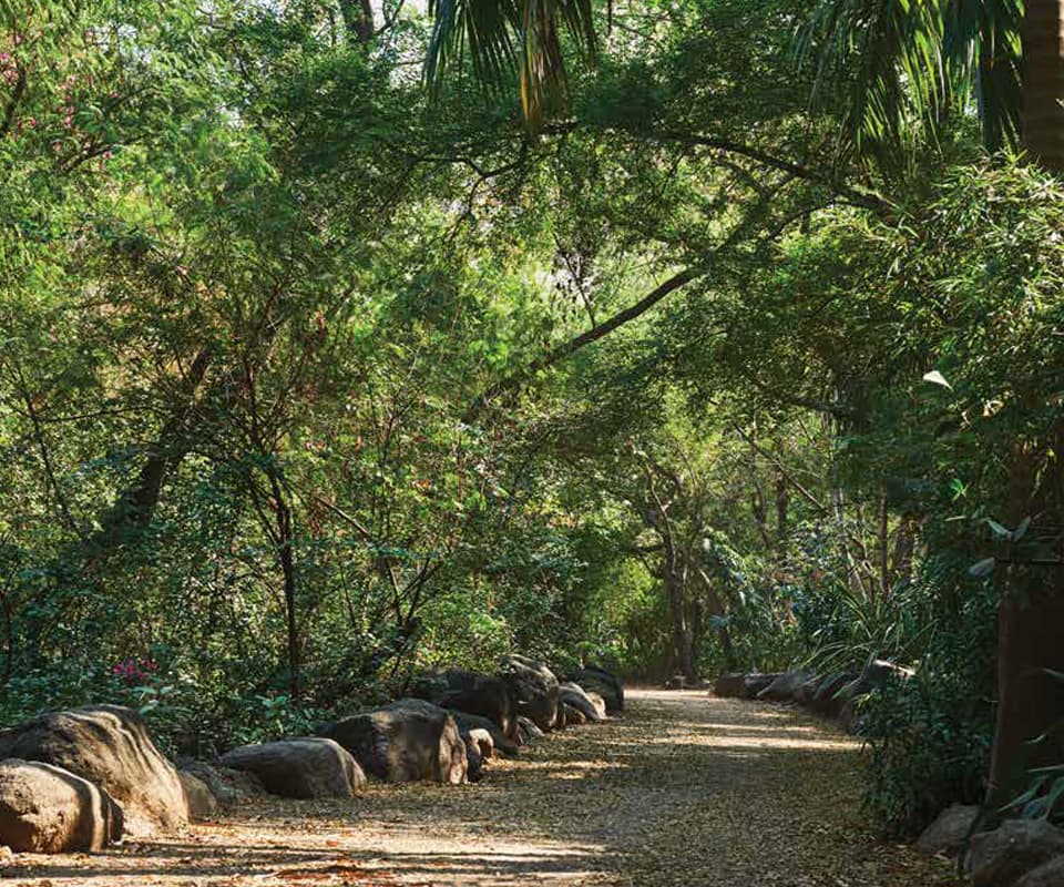 Hiranandani Pedestrian Friendly Tree Line Avenues