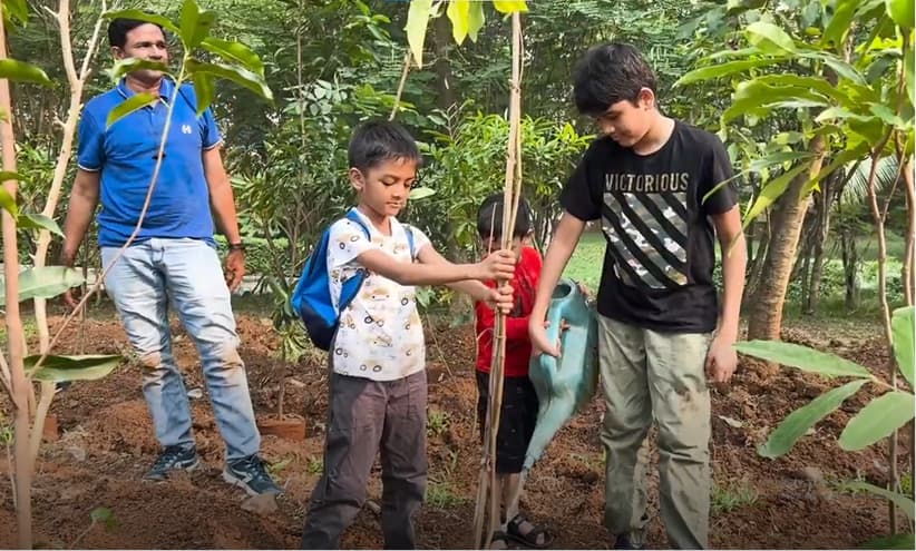 HOH Tree plantation Image 2