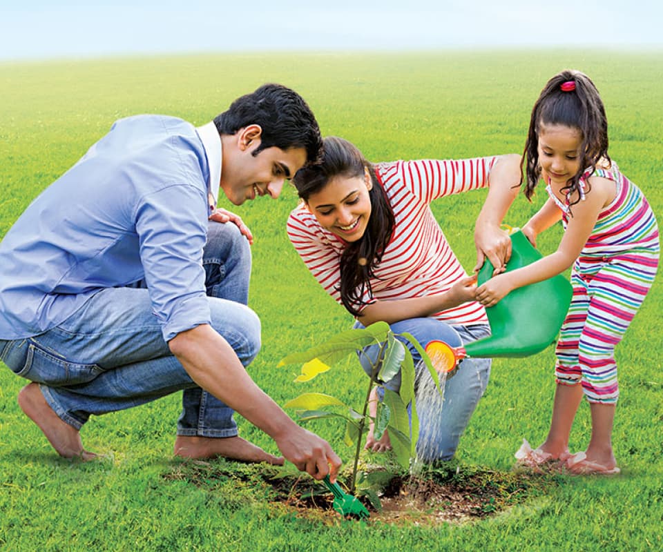 Hiranandani Thaiyur Tree-lined Streets